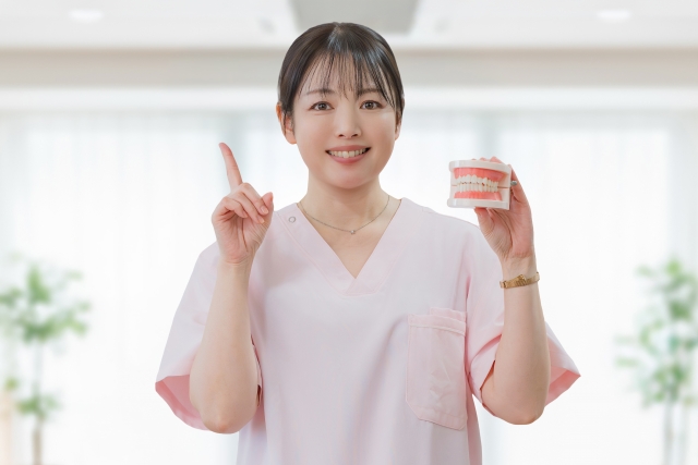 入れ歯を持っている歯科医院の助手